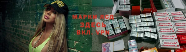 ПСИЛОЦИБИНОВЫЕ ГРИБЫ Абдулино