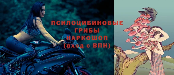 стафф Алексеевка