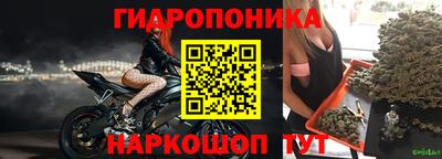 apvp Владивосток