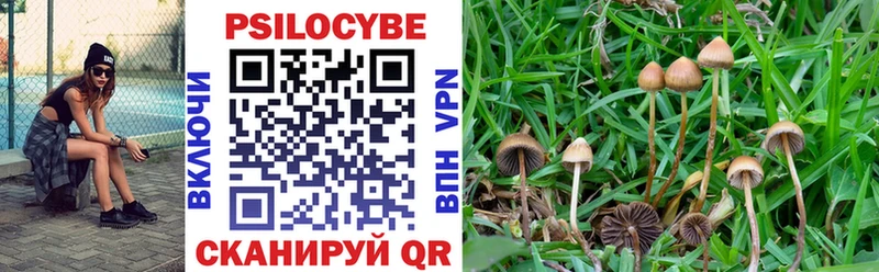 shop наркотические препараты  Вологда  Галлюциногенные грибы GOLDEN TEACHER  продажа наркотиков 