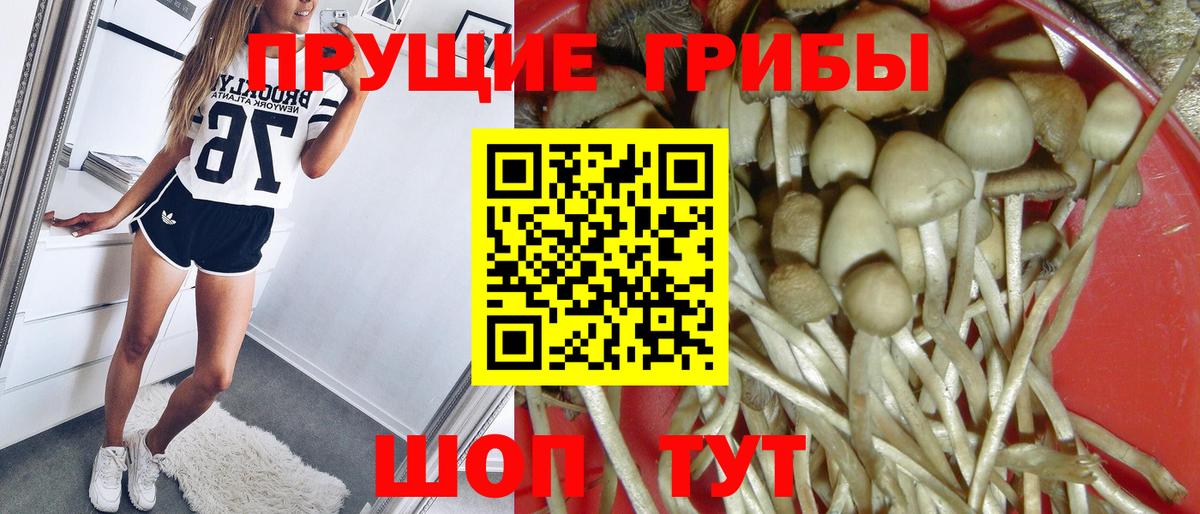 Псилоцибиновые грибы Magic Shrooms Вологда