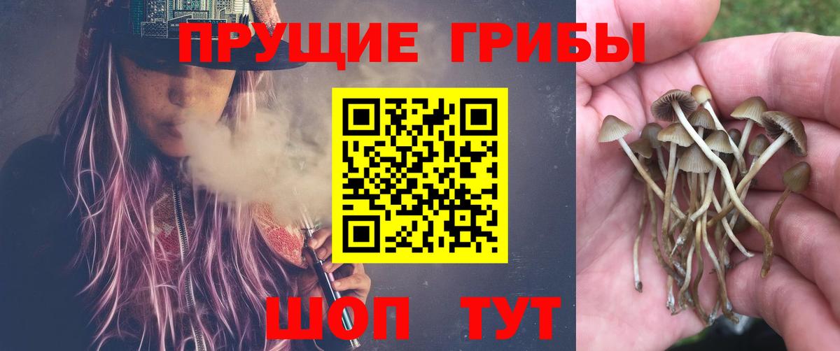 Галлюциногенные грибы Psilocybe  Галлюциногенные грибы мицелий  Вологда  Вход с VPN 