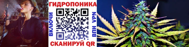 omg вход  Вологда  Бошки марихуана гибрид 